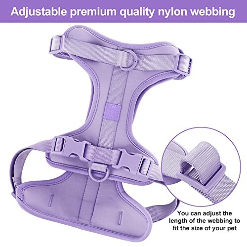 Purple adjustable nylon pet harness with premium webbing.