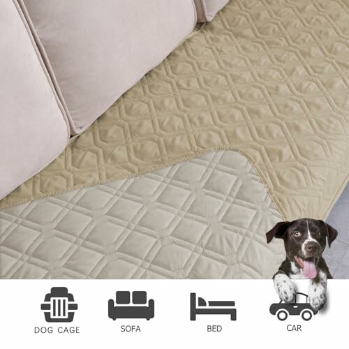 Quilted pet protector on furniture with icons showing use for dog cage, sofa, bed, and car.