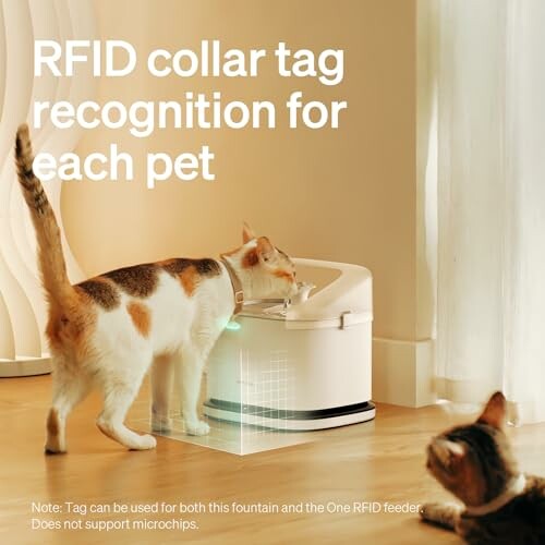 Cat using RFID collar tag for pet recognition at feeder.