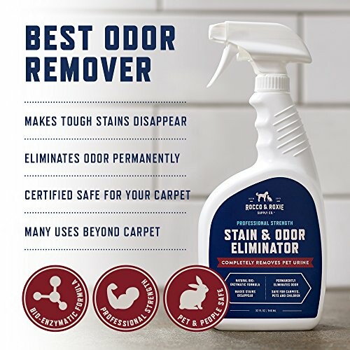 Stain and odor eliminator spray with features listed