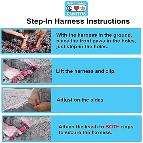 Instructions for using a step-in harness on a dog.