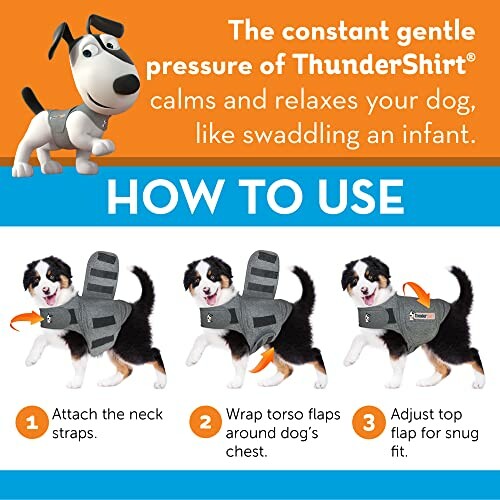 Instructions on using ThunderShirt for dogs, showing steps to attach, wrap, and adjust the shirt.